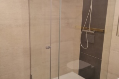 Ganzglasdusche mit Glastür und Seitenwand