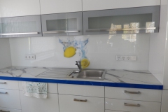 Küchenrückwand mit einem Zitronenbild